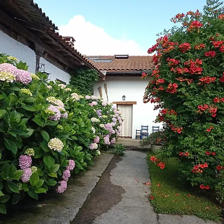 Apartmán Lokate 5 *